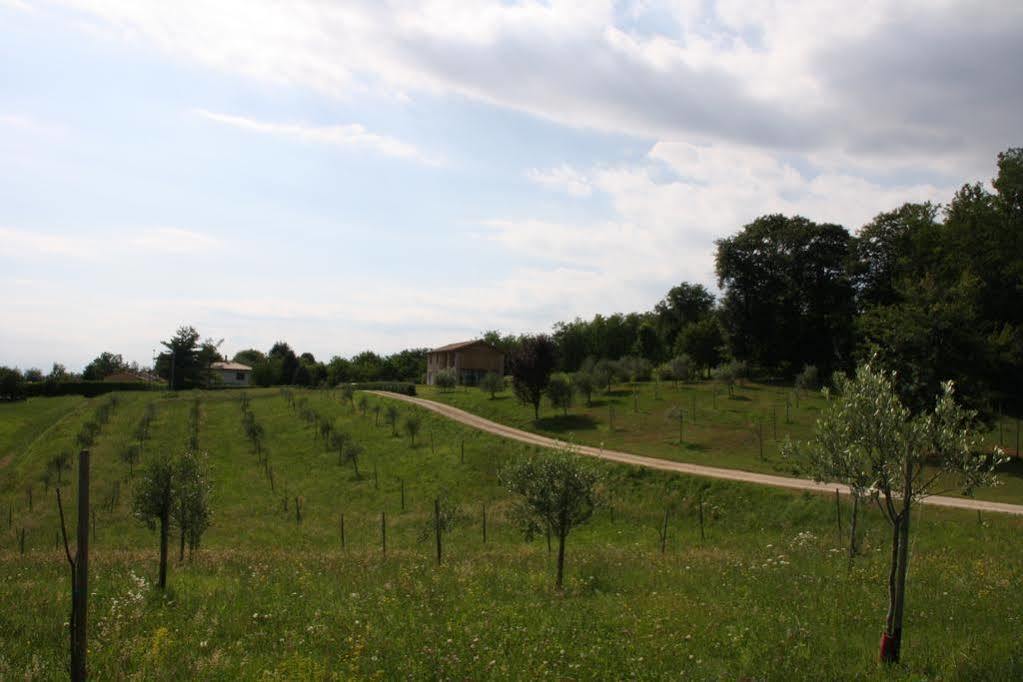 Agriturismo Da Merlo Trivignano Dış mekan fotoğraf